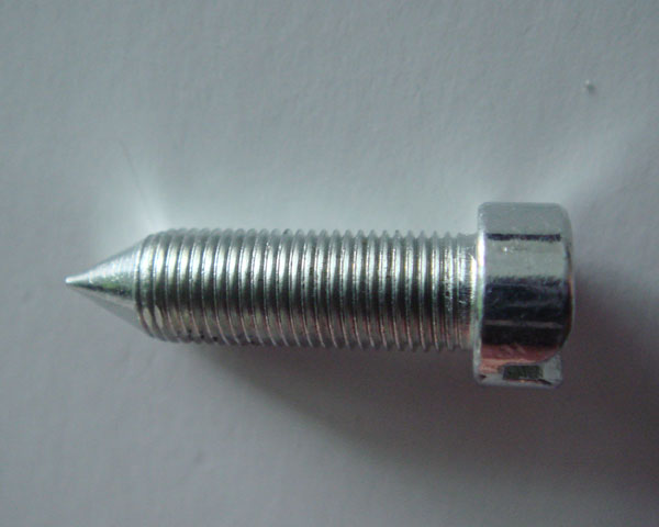 ǘ(bio)01
